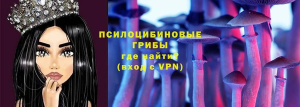 шишки Горнозаводск