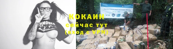 шишки Горнозаводск