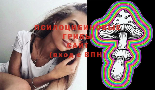 шишки Горнозаводск