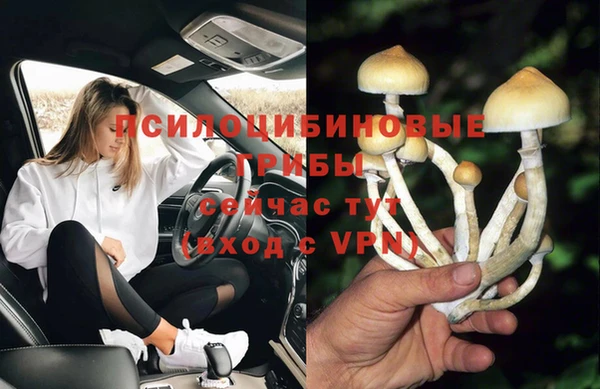 шишки Горнозаводск