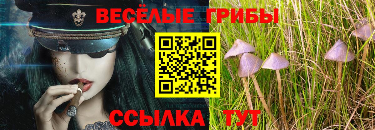 Мценск  Псилоцибиновые грибы мицелий  Галлюциногенные грибы прущие грибы  Вход с VPN 