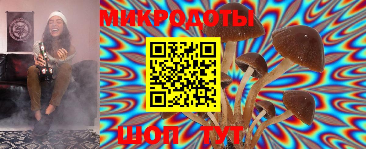 Галлюциногенные грибы мухоморы Мценск